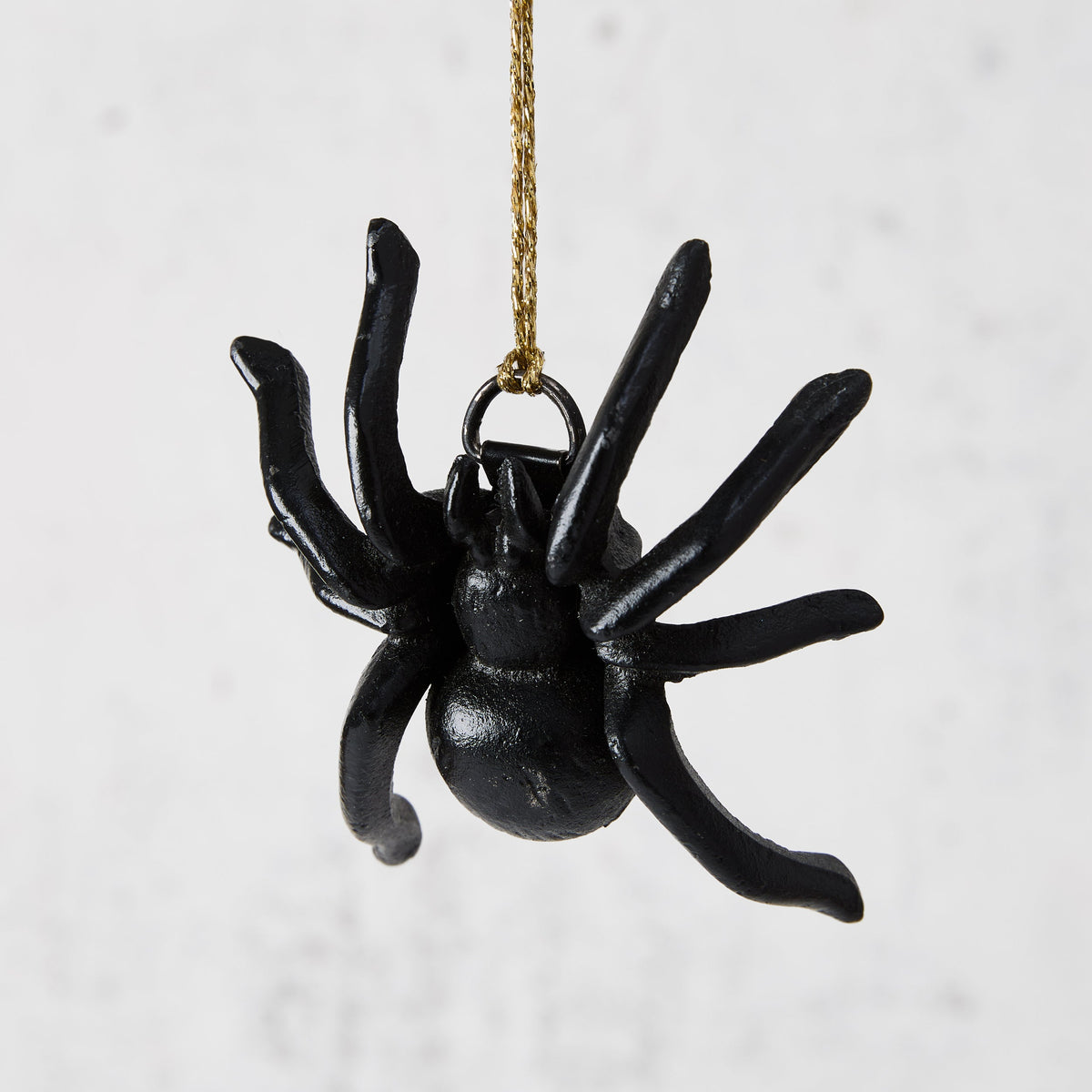 Décoration d'araignée en fonte noire