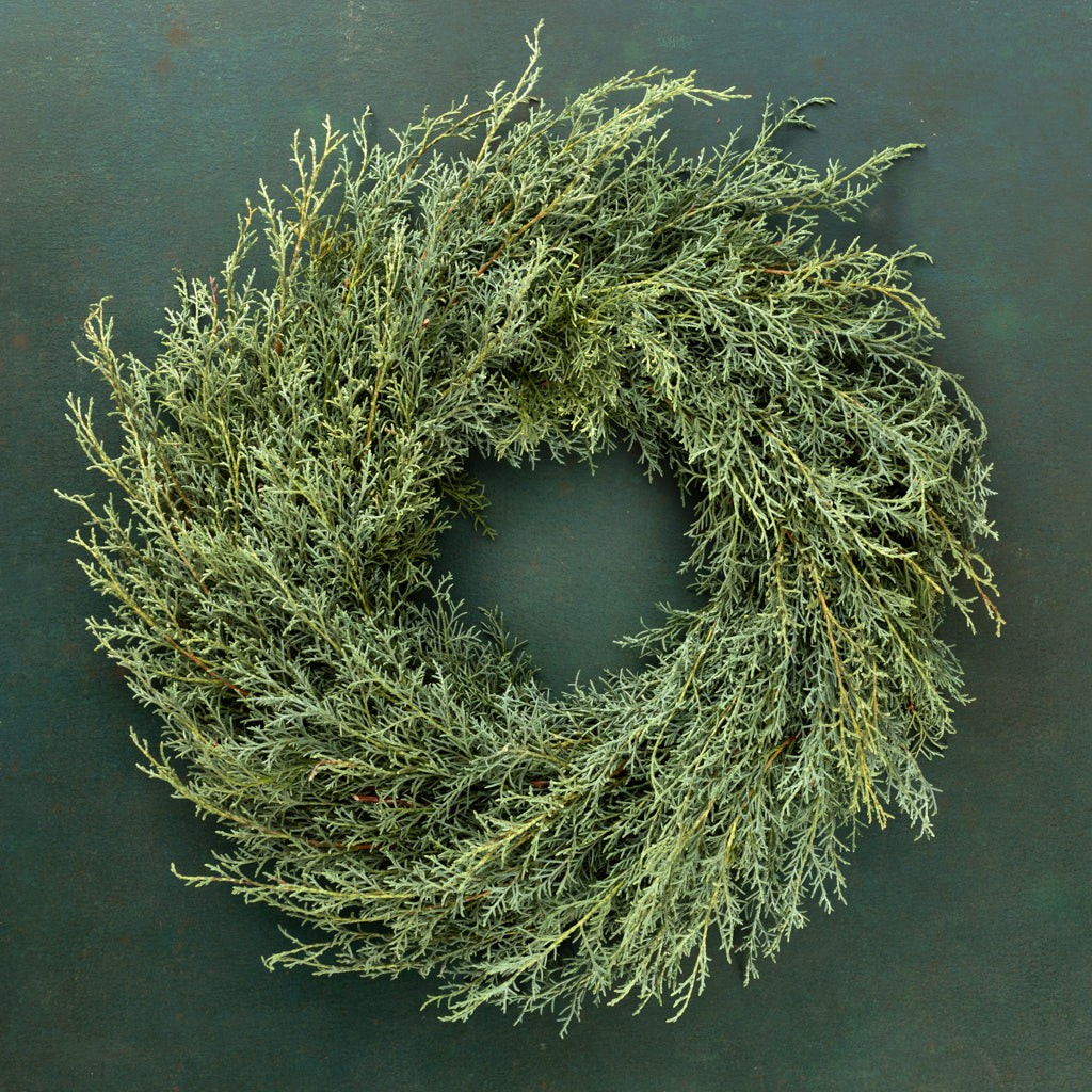 Couronne de cyprès